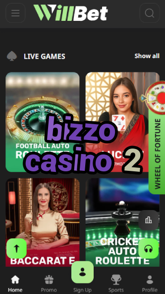 Bizzo Casino 2 - Second Level Casino Fun-www.bdqngd.com